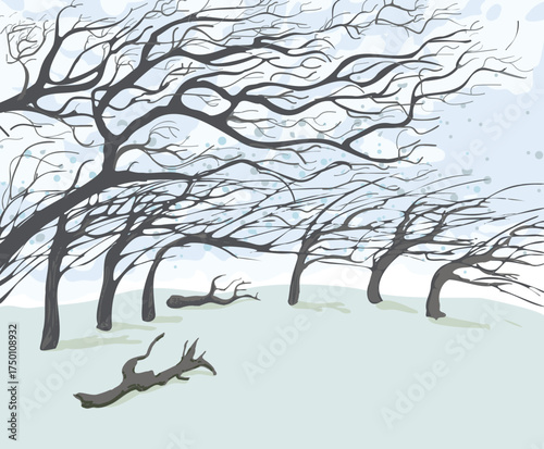 Wind. Branches, leaves and trees whipped by the wind