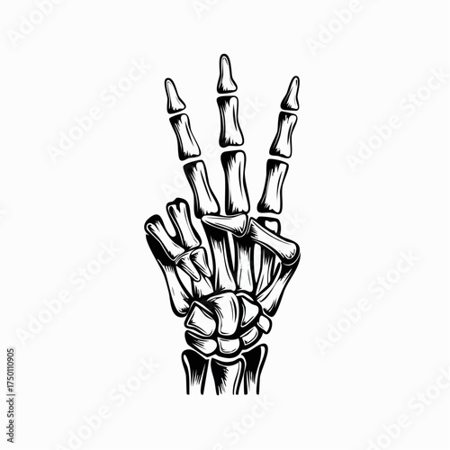 A detailed illustration of a skeletal hand displaying the number three, isolated.