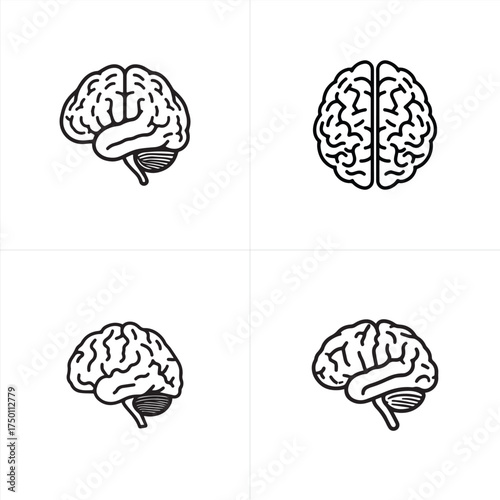 Vector art of four different outline icons of brains