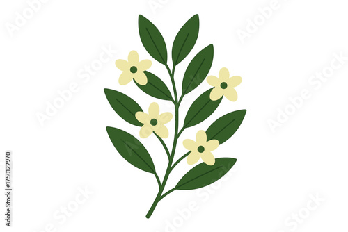 Sukkot - myrtle twig simplified, even stroke. Floral branch with green leaves and yellow flowers in flat design  