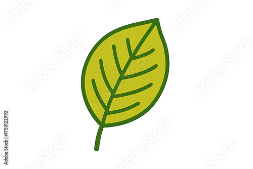 Simple green leaf illustration with visible veins and outline  