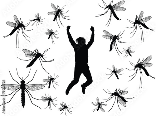 Mosquitoes surrounding human silhouette illustration, person attacked by insects, mosquito swarm flying, vector black silhouettes, disease carrier bugs, dangerous pest insect, nature concept art