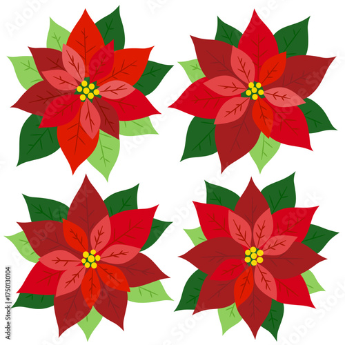 Poinsettia set, collection of Christmas traditional plants. Hand drawn floral collection, holiday elements. Vector illustration in flat style isolated on white background.