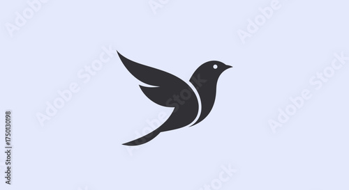 Elegant Silhouette of a Bird in Flight with Graceful Wings.