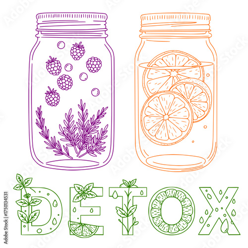 Detox water jars with fruits and herbs in outline illustration style (vector)  