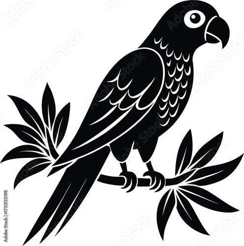 Abstract black background with subtle texture and glow effect isolated on transparent background