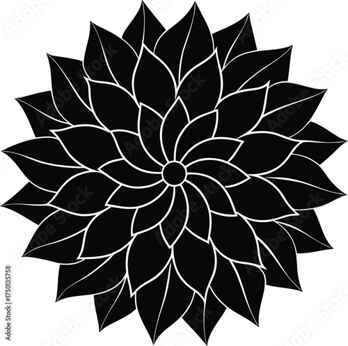 Abstract cosmic nebula swirl with stars and galactic dust cloud isolated on transparent background