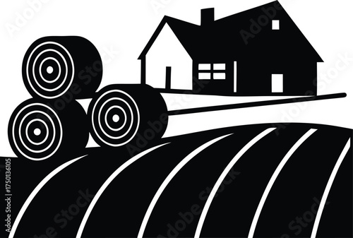 Detailed close-up of a textured natural wood surface with fine grain patterns isolated on transparent background