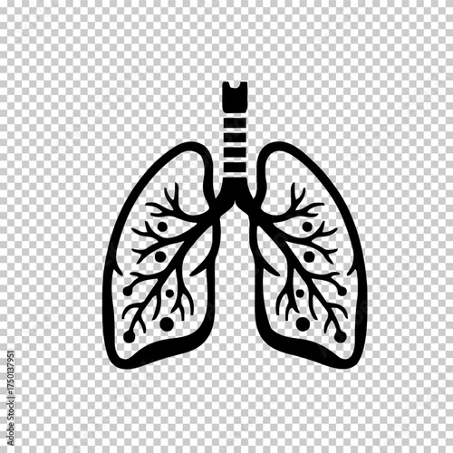 Human lung flat vector icon isolated on transparent background