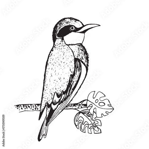 Coloring book happy birds for kids. Funny birds, flowers, leaves and berries. Flat vector illustration with cartoon bird silhouette. Cute characters. Minimalist poster design.