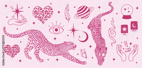 Whimsical pink celestial cheetah vector magic set. Girly witchy aesthetics