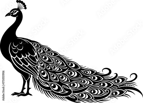 Elegant Peacock Silhouette Vector
