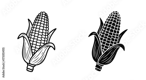 Two detailed illustrations of corn cobs with husks are presented