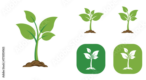 Illustrative depiction of plant growth stages from seedling to maturity