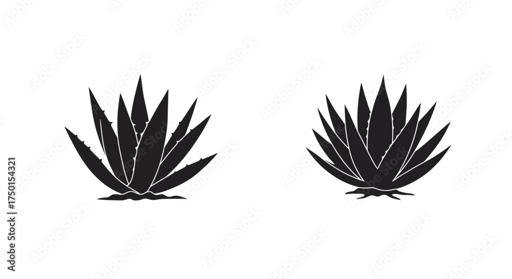 Fototapeta premium Two stylized agave plants depicted in a minimalist black and white design