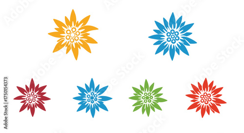 Colorful edelweiss flower illustrations in red orange blue and green hues