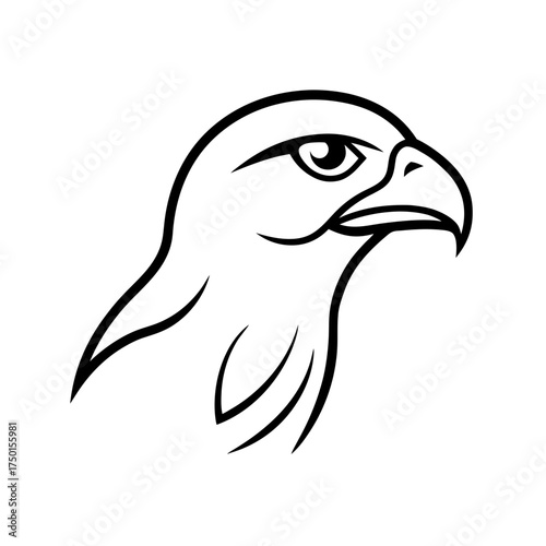 Stylized black and white eagle head outline image on transparent background