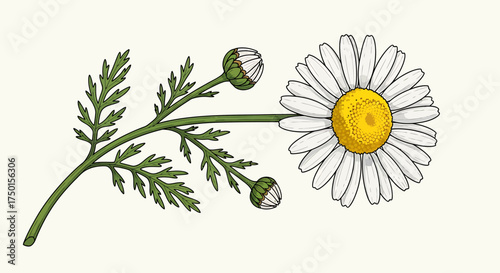 Road safety and transportation icons