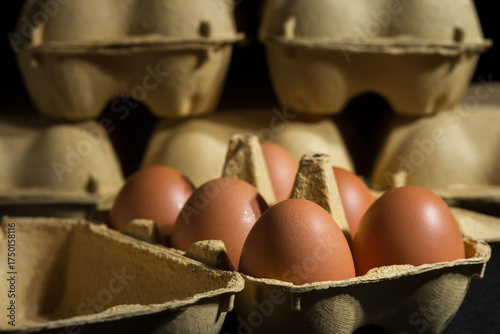 Brown chicken eggs in egg carton on dark background
