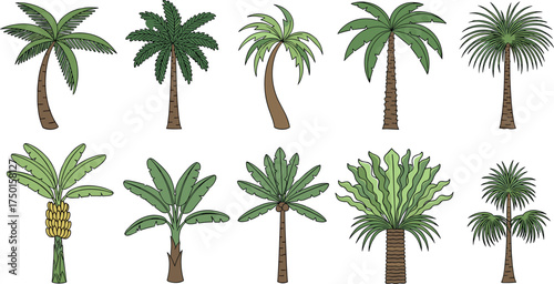 Vibrant assortment of diverse tropical palm trees in a charming hand-drawn vector illustration style, ideal for summer designs, beach themes, and exotic nature concepts