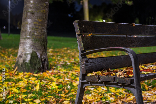 Autumn landscape bench at night on fallen leaves