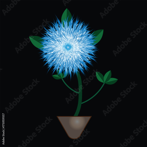 Flower plant