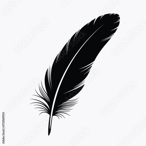 Elegant black feather design a striking and simple visual silhouette