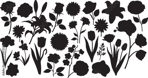 Flower Silhouettes Vector Illustration