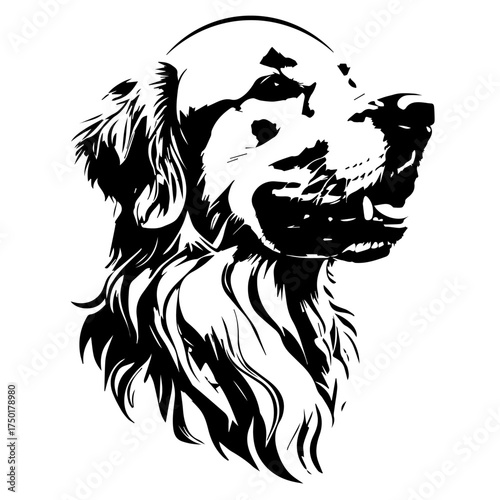 Drawing of a shaggy dog ​​with a smiling expression