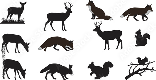 Woodland animal silhouette set, deer fox squirrel poses, forest wildlife scene, nature illustration pack, flat vector illustration, black and white