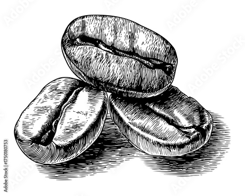 Illustration of Roasted Coffee Beans Stacked Together on a Simple Background with Detailed Textures and Shadows