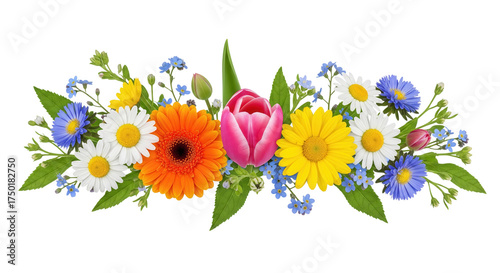 Colorful wildflower bouquet border with daisies, gerbera, rose and greenery, horizontal floral garland, isolated PNG on transparent background