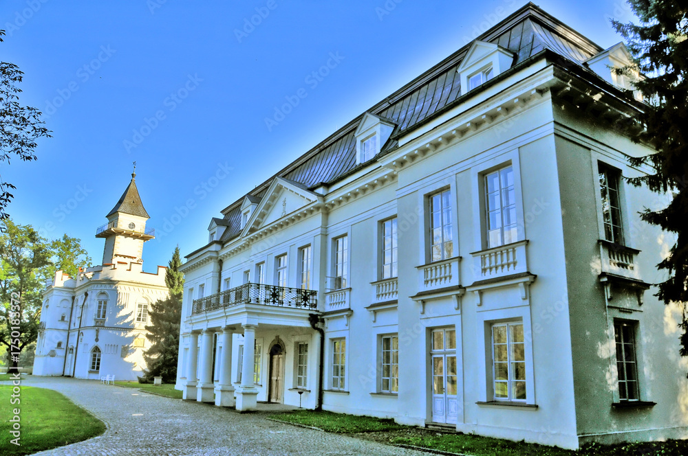 Obraz premium Radziejowice Castle a village in Żyrardów County, Masovian Voivodeship, in east-central Poland