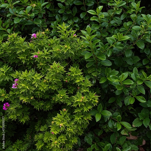 Vibrant display of fresh green foliage intertwined with delicate, colorful blossoms, showcasing nature's serene beauty and growth ,natural ,pattern ,close up