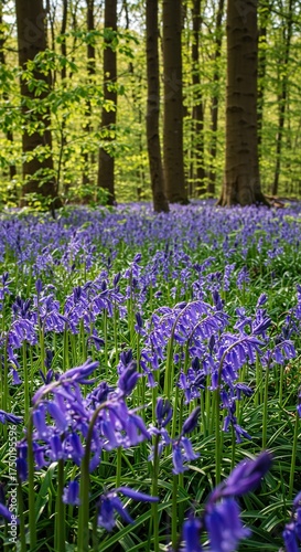 Vibrant bluebells carpet a sun-dappled woodland floor, signaling the arrival of spring with their delicate, bell-shaped blooms ,garden ,springtime ,thriving