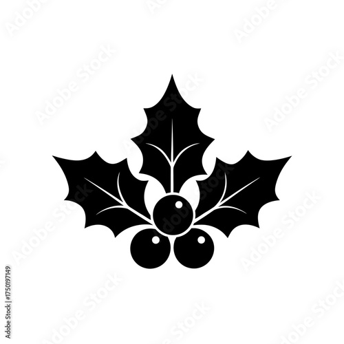 Silhouette of holly with berries on transparent background