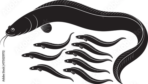 Black and White Eel and Small Eels Group Vector Art on Transparent Background