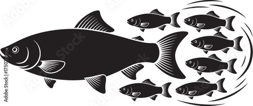 Classic Carp Fish Vector Illustration Featuring a Large Specimen and Smaller Companions on Transparent Background