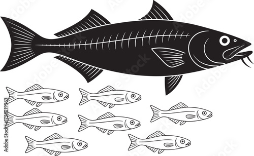 Detailed outline drawing of a large fish with visible bone structure and a group of small fish
