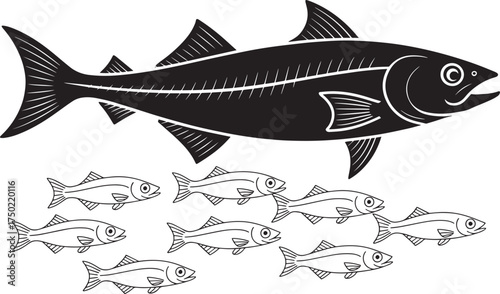 Graphic art outline drawing of a large fish with a school of smaller fish below, showcasing marine life illustration