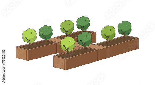 Isometric illustration of trees in rectangular planters arrangement