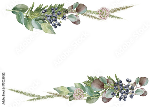 Watercolor illustration of a floral frame. Branches of fern and eucalyptus with ears of wheat and maiden grape. Horizontal frame for printing invitations, business cards, and packaging