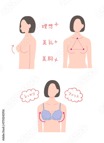 上半身の女性の体のイラストセット