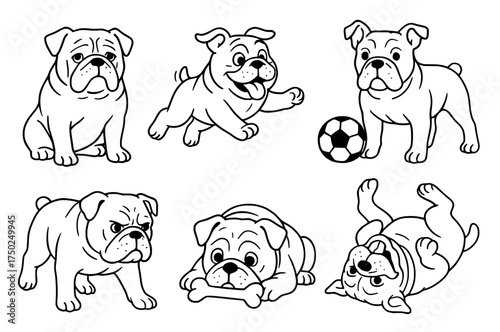 Vector outline for coloring, collection of 6 Bulldogs