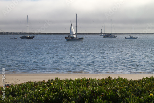 Harbor with Boats in Northern California