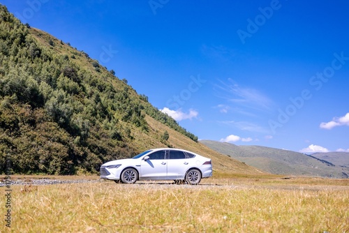 White Car Parked on Golden Grassland Under Clear Blue Sky with Hillside Landscape in Daylight