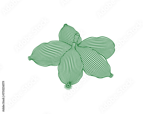 Cardamom Pods Illustration Stylized Green Striped Pattern Design