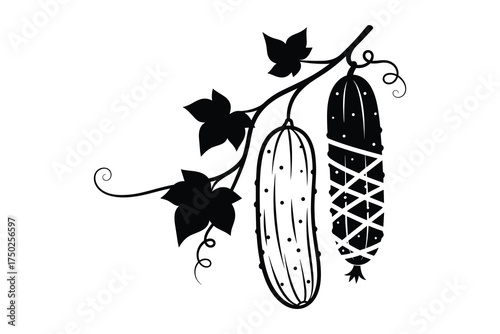 Cucumber Branch with Leaves and Stylized Vegetables