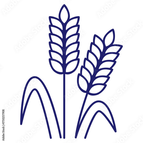 Cereals doodle illustration  icon - pearl millet, agriculture, wheat, barley, rice, maize, timothy grass, buckwheat, proso, sorghum. Thin line art about grain plants. Editable Stroke Wheat ear icon. l