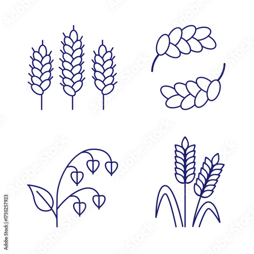 Cereals doodle illustration  icon - pearl millet, agriculture, wheat, barley, rice, maize, timothy grass, buckwheat, proso, sorghum. Thin line art about grain plants. Editable Stroke Wheat ear icon. l